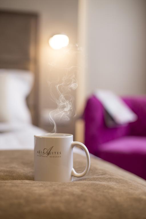 Aria Royal Nusic Apartment Belgrád Kültér fotó